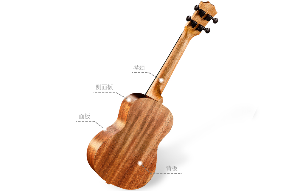 尤克里里,ukulele,深圳市特倫斯樂(lè)器有限公司